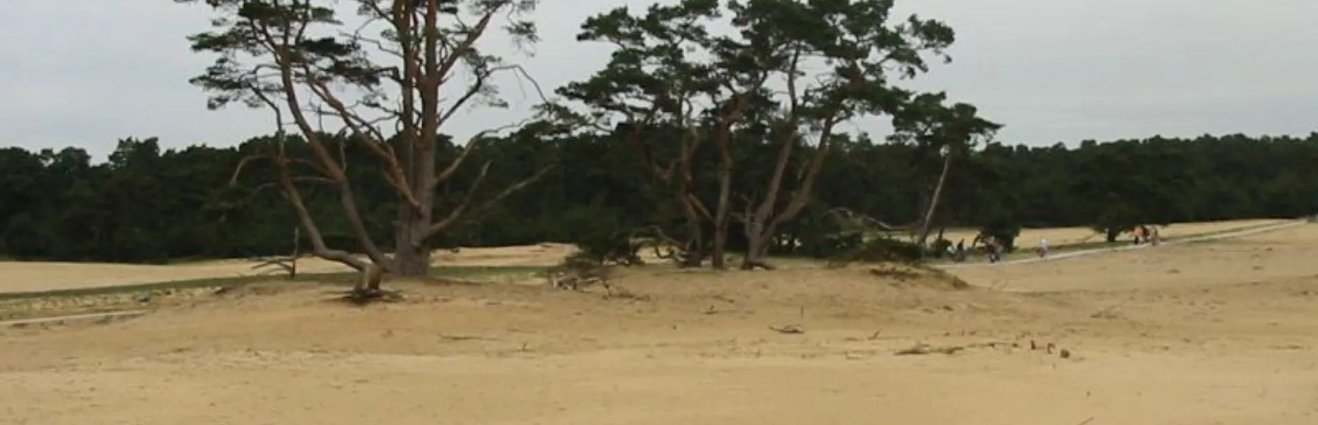 Park hoge veluwe